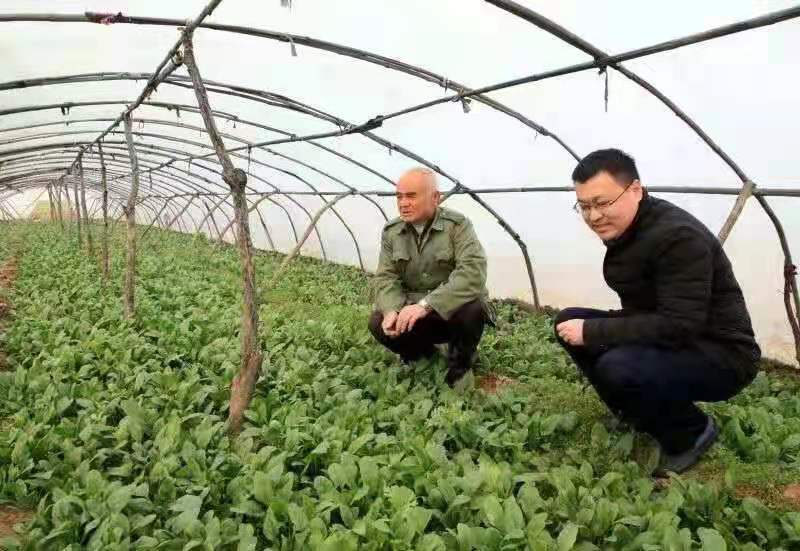 伟德体育官网